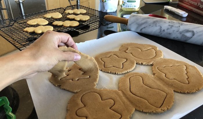 keto gingerbread cookies