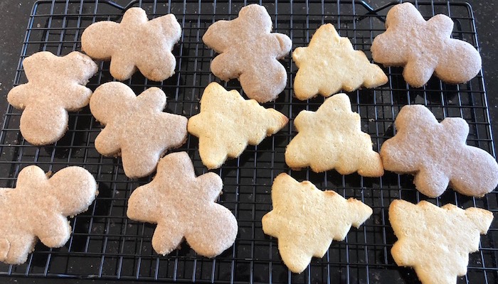 keto no sugar cookies